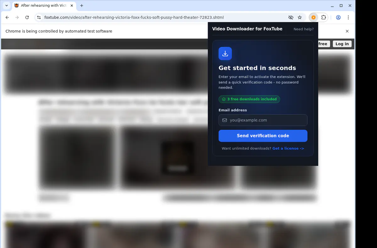 Foxtube Video Downloader browser extension screenshot 5